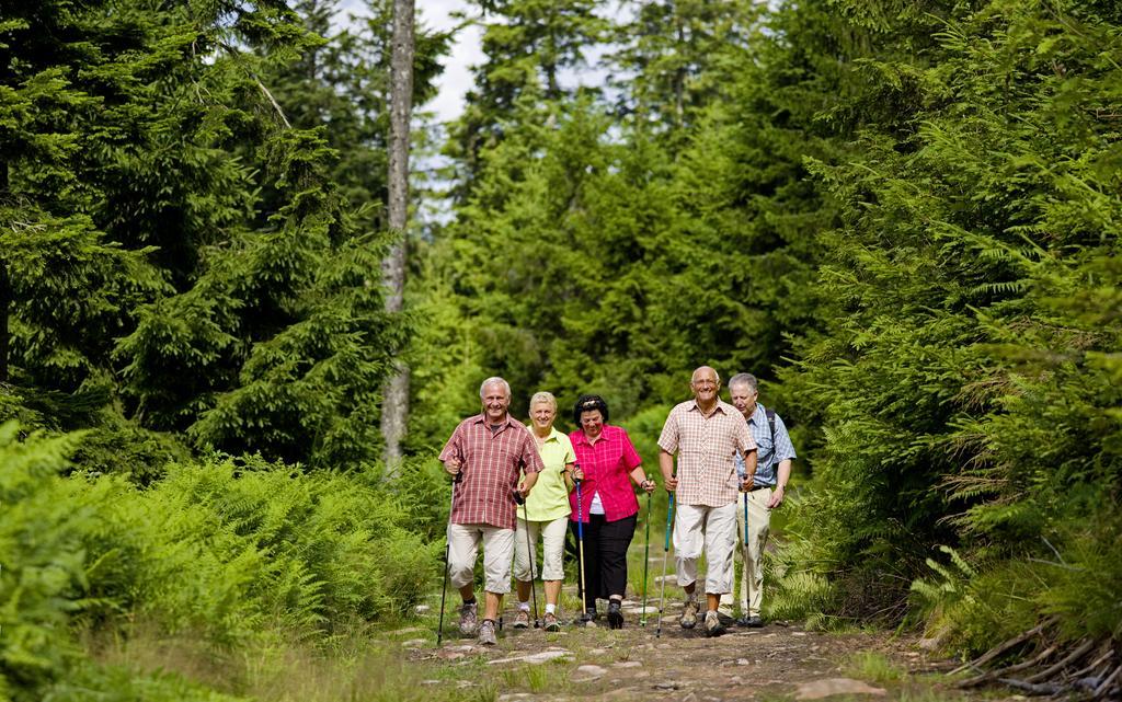 Naturparkhotel Adler Wolfach Exteriör bild