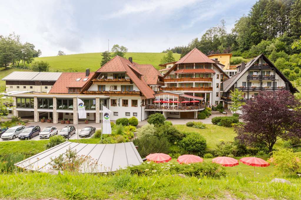Naturparkhotel Adler Wolfach Exteriör bild